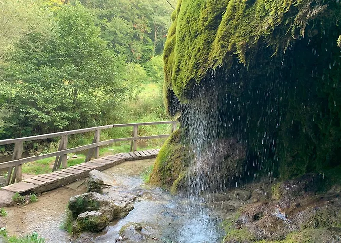 Apartment Curb Neichen